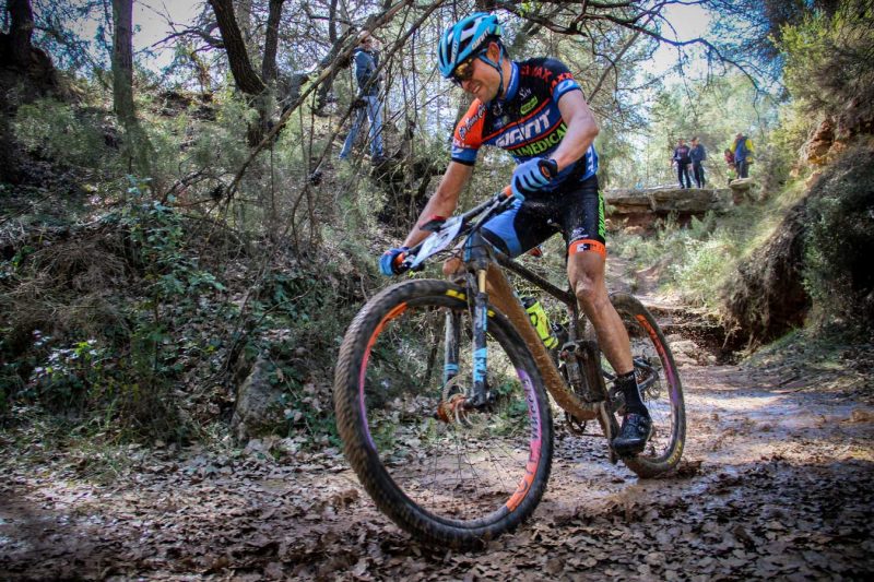 giant volcat anoia fang