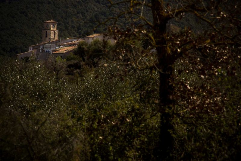 les millors vistes de l'anoia la llacuna
