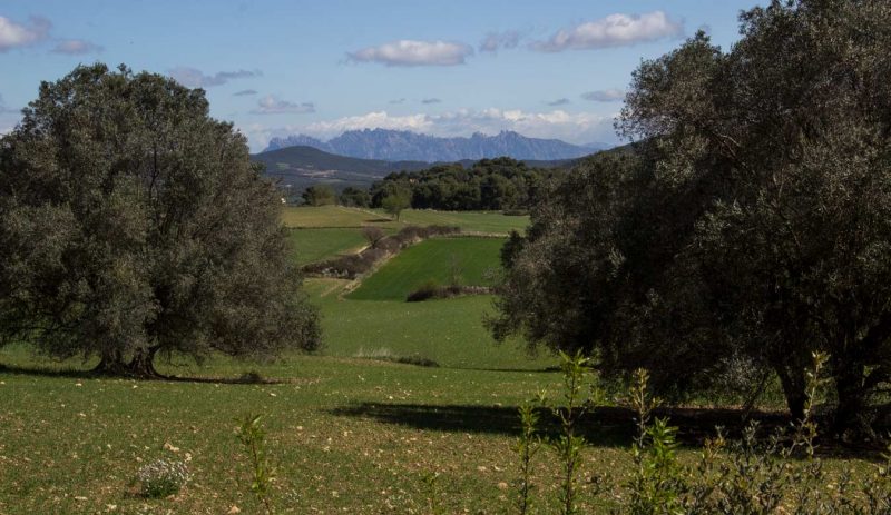 montserrat des de la llacuna anoia catalunya