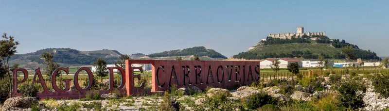 pago de carreovejas cartel entrada