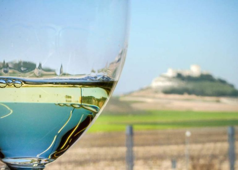 EXPERIENCIA AMBIVIUM ribera de duero Pago de Carreovejas