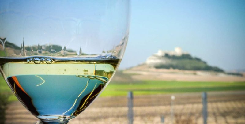 EXPERIENCIA AMBIVIUM ribera de duero Pago de Carreovejas