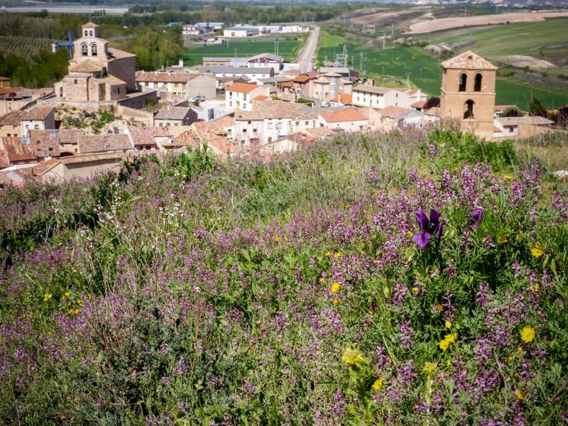 vista de san esteban de gormaz