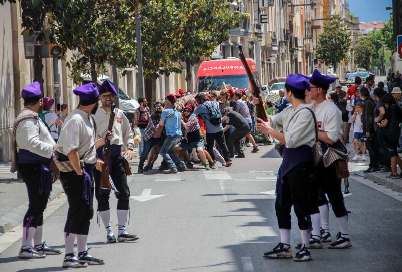 els voladors trabucaires festa de l'arbre de maig igualada