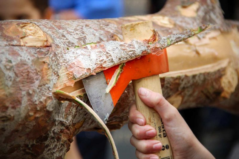 destral escorça plantar el maiu festa de l'arbre de maig igualada 2018