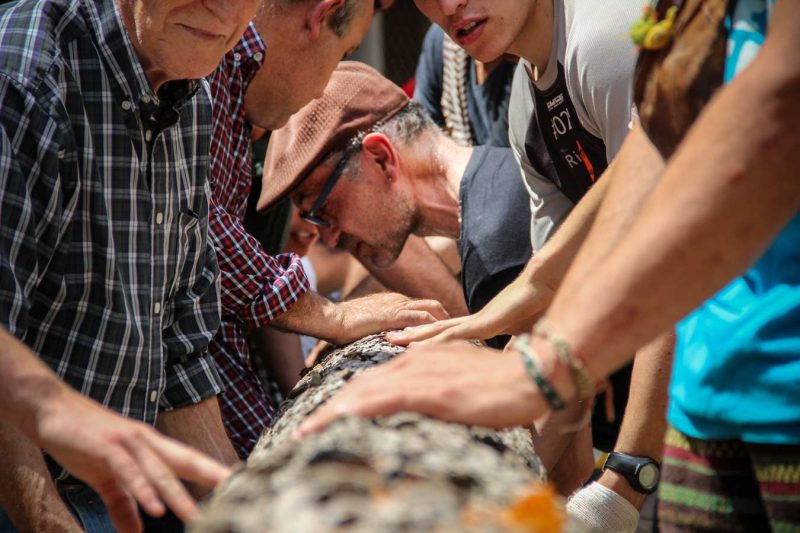 escorça del maiu plantar el maiu plaça pius xii festa de l'arbre de maig igualada