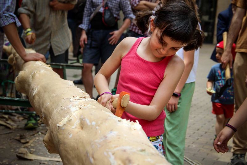 destral plantar el maiu plaça pius xii festa de l'arbre de maig igualada