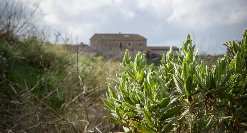 masia can brugués castellolí anoia