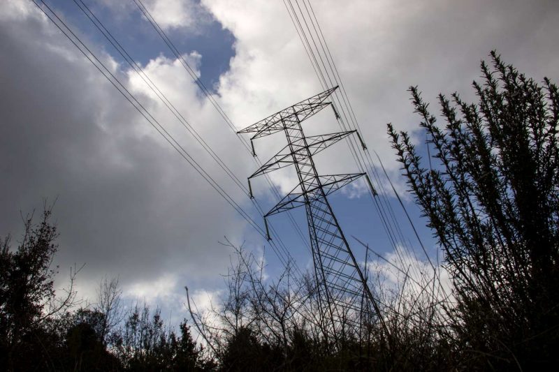 pal d'electra a castellolí anoia