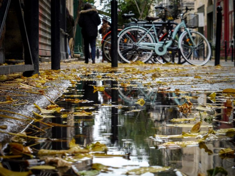 reflejos bicicletas burdeos