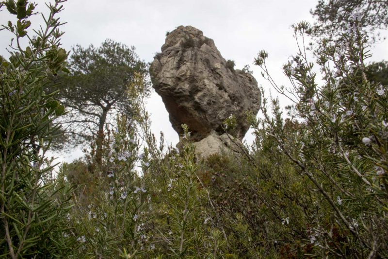 castelloli roca cagadora anoia