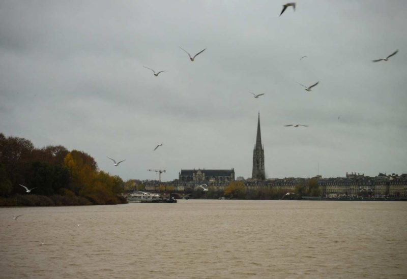 riu garona a burdeus gavines