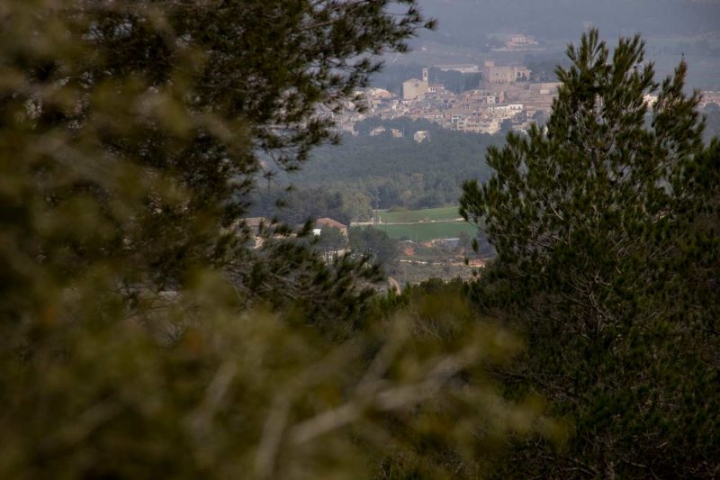 vista de sant martí de tous anoia