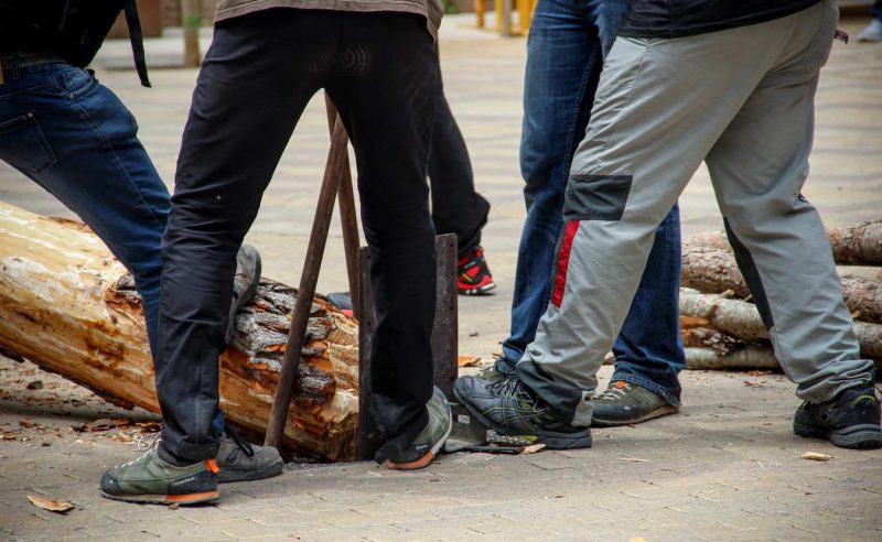 forat per plantar l'arbre igualada festa arbre