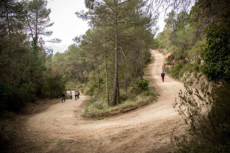 cami prop de sant marti de tous anoia