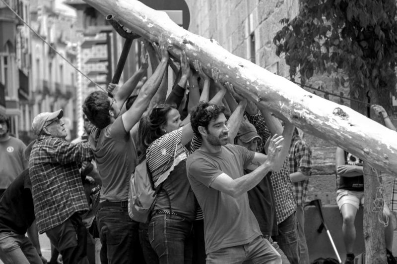 blanc i negre plantar el maiu plaça pius xii festa de l'arbre de maig igualada