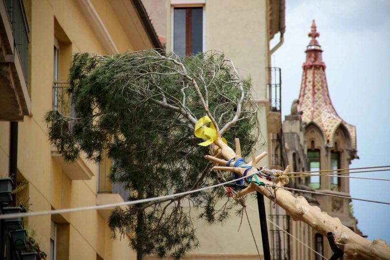 maiu i llaç groc cal ratés