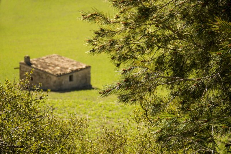 camp verd caseta d'hort anoia
