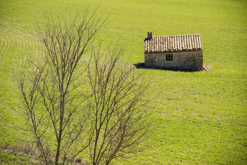 caseta de bosc pla de les bruixes anoia