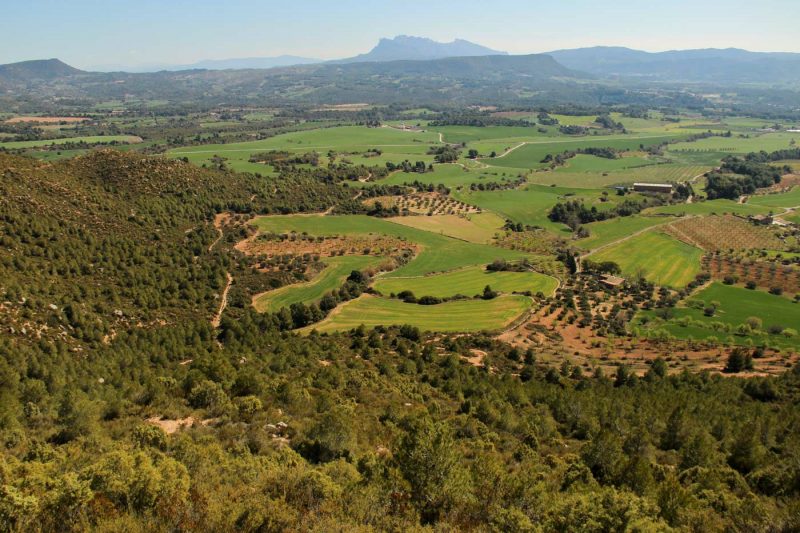 vista de montserrat des del pla de les bruixes anoia
