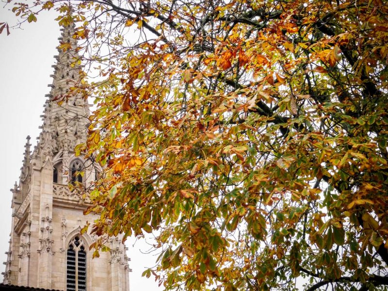 catebral burdeos torre