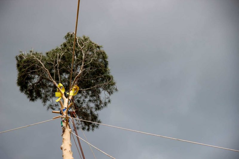 el aiu plantat igualada