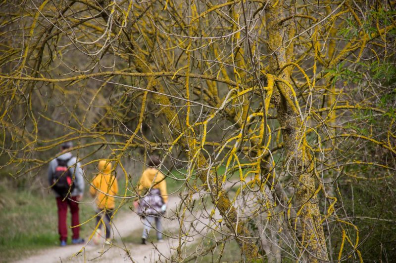 caminat per copons anoia