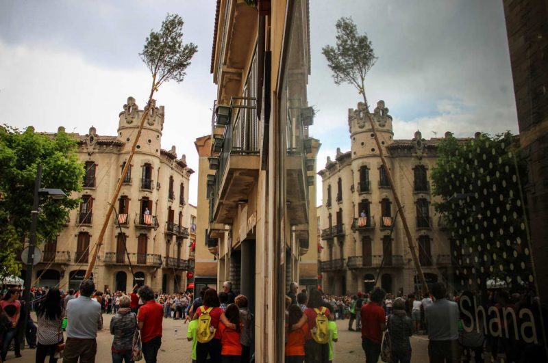 reflex cal franquesa igualada maiu