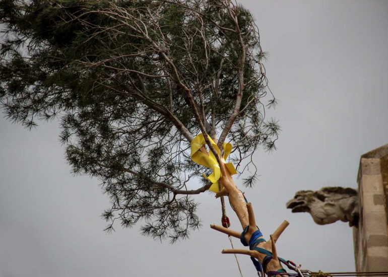 el maiu gàrgoles igualada