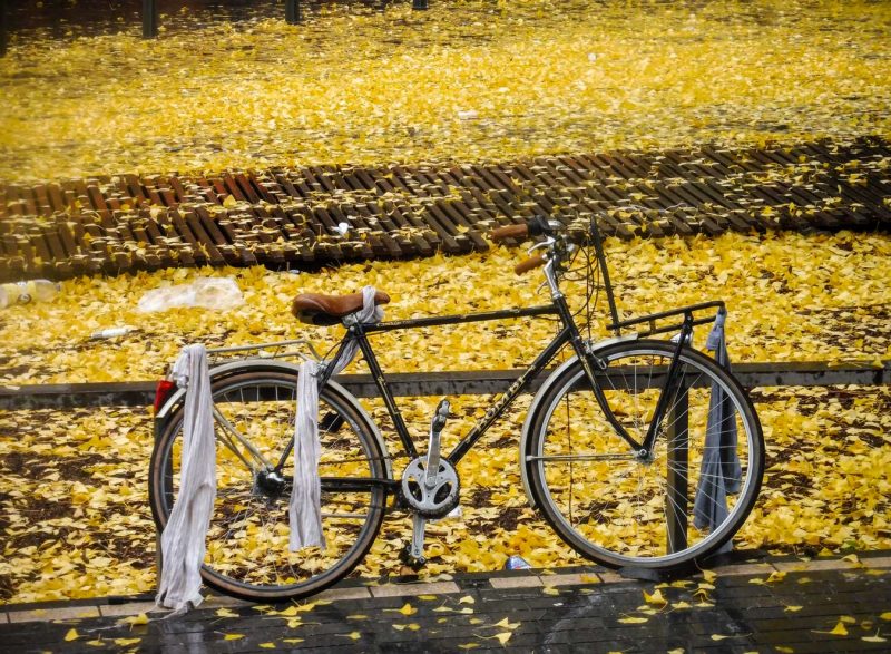 tour de france burdeus mallot groc