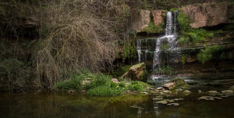 gorgs de copons anoia