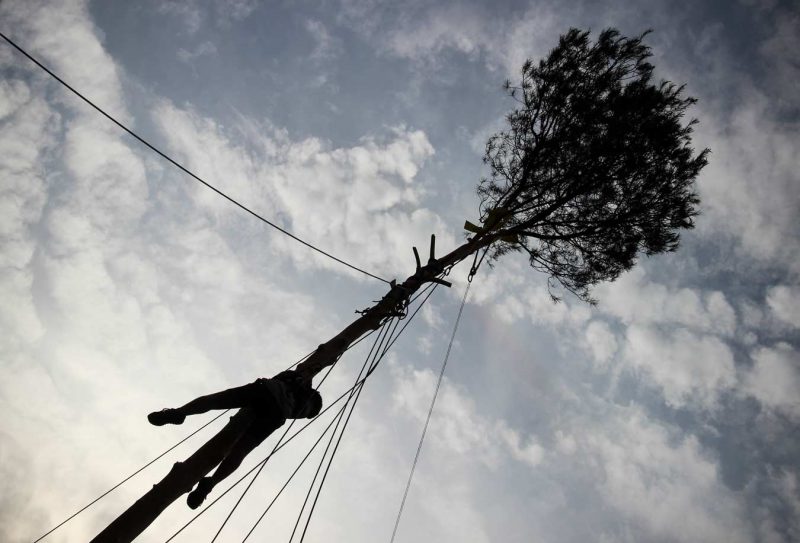 no puc més plaça pius xii festa de l'arbre de maig concurs grimpaires anoia igualada