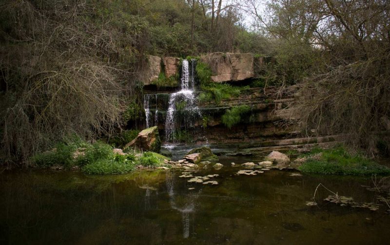 gorgs desconeguts de copons anoia