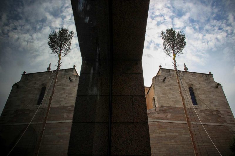 reflex arbre plaça pius xii festa de l'arbre de maig igualada