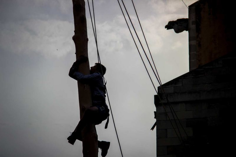 silueta gargoles santa maria plaça pius xii festa de l'arbre de maig concurs grimpaires igualada