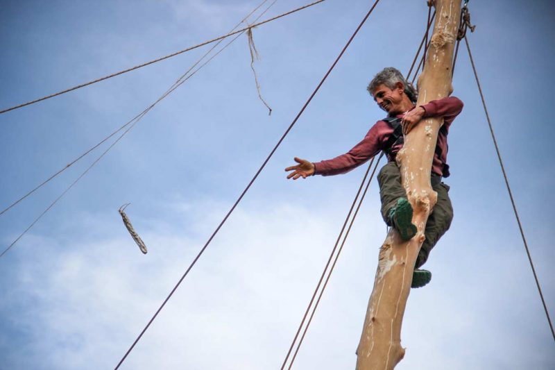 agafant el fuet plaça pius xii festa de l'arbre de maig concurs grimpaires