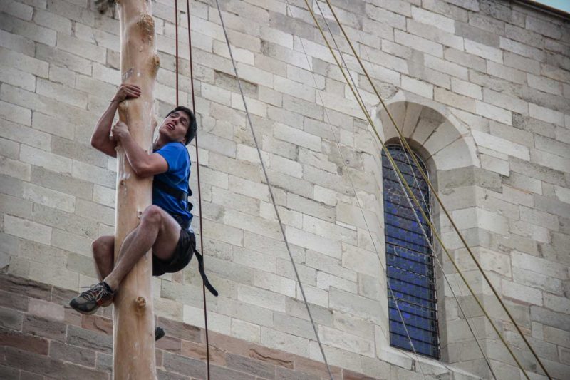santa maria basilica plaça pius xii festa de l'arbre de maig concurs grimpaires