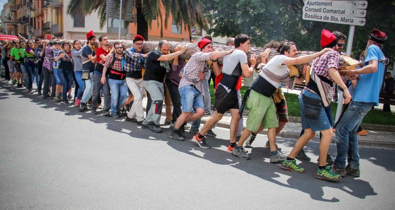 can titó vilanova del camí plantar el maiu festa de l'arbre de maig igualada