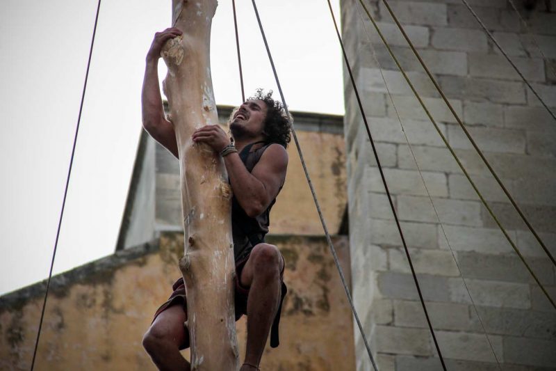 patint plaça pius xii festa de l'arbre de maig concurs grimpaires anoia