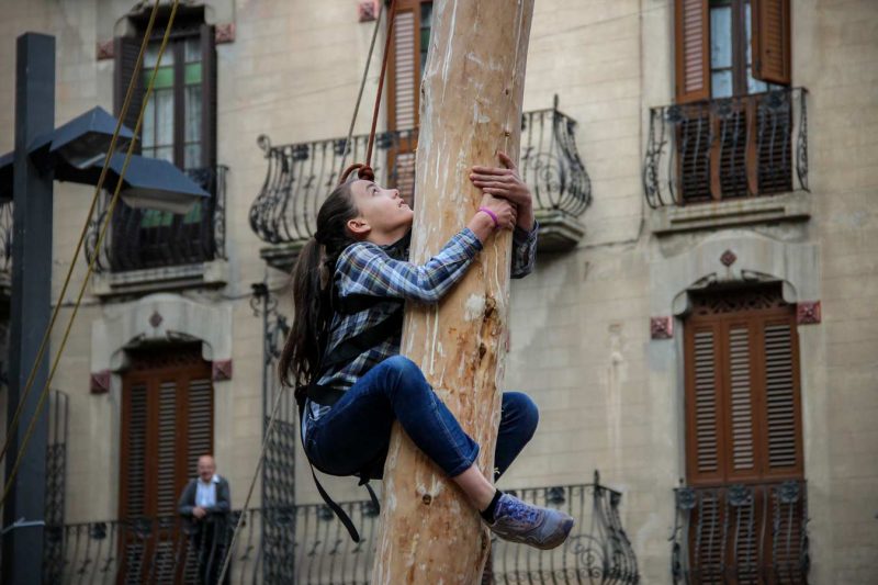 noia grimpant plaça pius xii festa de l'arbre de maig concurs grimpaires