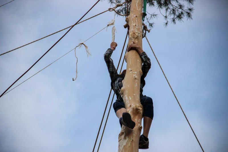 fuet festa de l'arbre de maig concurs grimpaires
