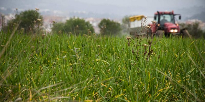 tractor llaurant igualada vilanova del camí
