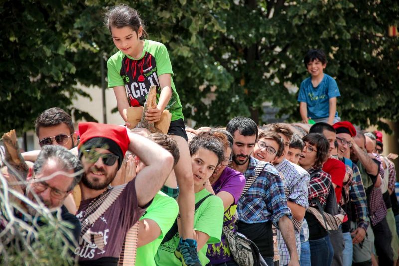 plaça del rei plantar el maiu festa de l'arbre de maig igualada