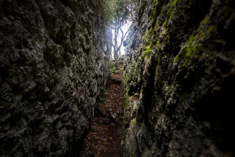 els esgavellats vilanova del camí anoia turisme