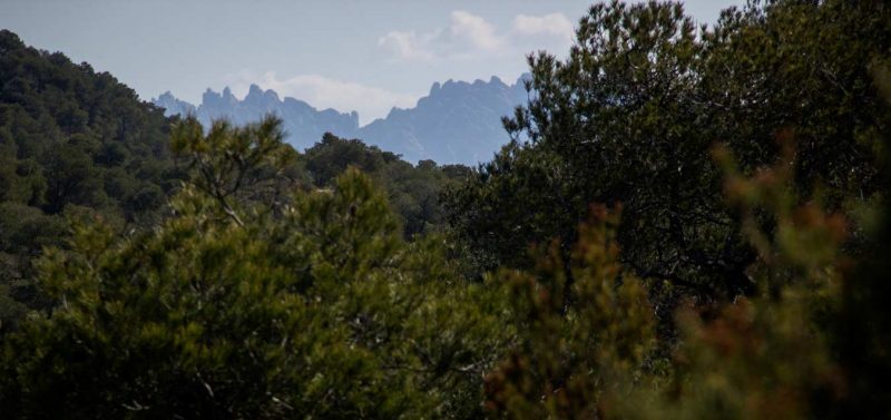 vista de montserrat des de l'ermita de collbàs carme anoia