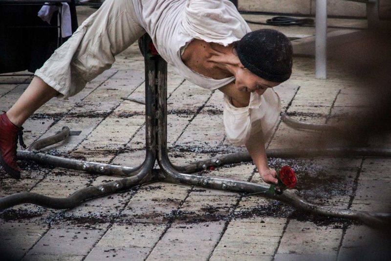 claire ducreux plaça pius xii igualada