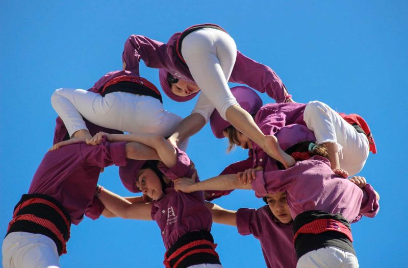 elegància mini-moixis