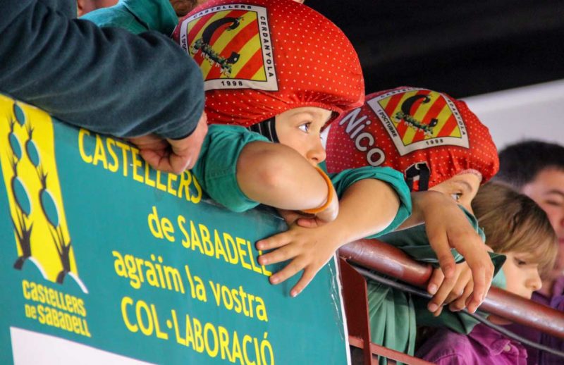 canalla saballuts observant