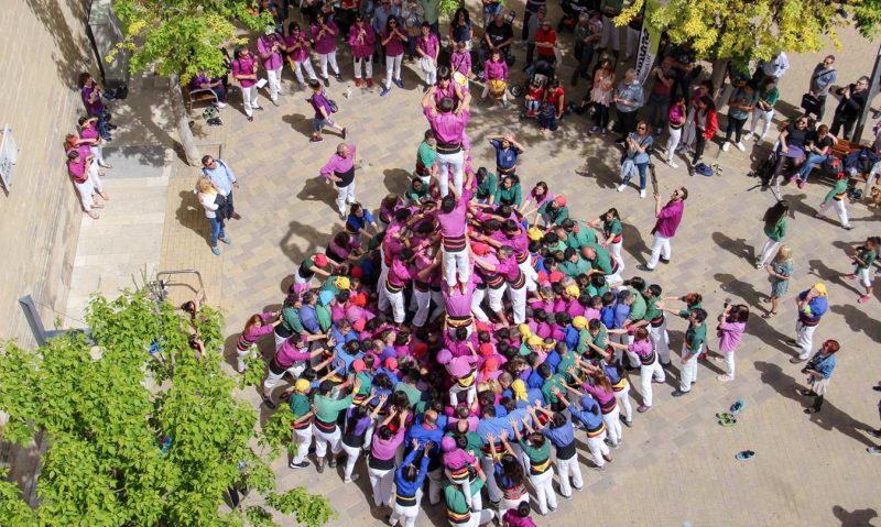 inici torre de 8 amb folre t8f