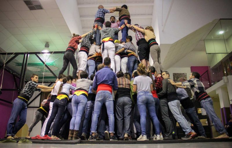 les cotxeres assaig moixis